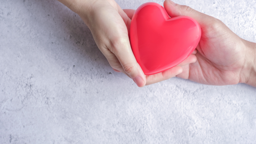 No Instituto IBDSocial, o acolhimento institucional transforma respeito em confiança e melhores resultados