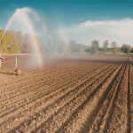 João Eustáquio De Almeida Junior analisa a importância da água na agricultura e os desafios atuais para garantir a produção de alimentos.