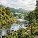 Odair José Mannrich